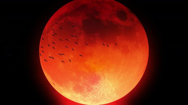 The silhouette of a flock of birds flying in front of a blood-red moon.