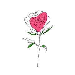Fototapeta premium Pink rose line art