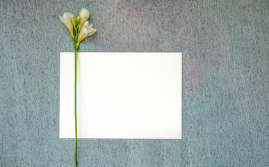 blank invitation or greeting card, card made of painting paper with a delicate beautiful texture,...