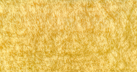 Ripe yellow cereals in a field, top view drone panorama