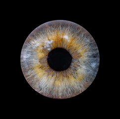 Macro photo of human eye on black background