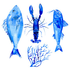 Blue vector watercolor illustration of seafood collection for food market advertising products design. Mediterranean fish restaurant menu background. Omar, lobster, shrimp, coral, dorado, marlin.