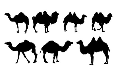 camels silhouettes set.