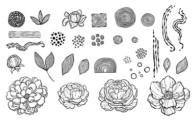 Abstract flower icons set outline hand drawn vector. Sketch flower ink