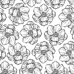 Poppy pattern pattern outline hand drawn vector. Flower seamless background