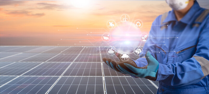 Zellatmung Bilder Durchsuchen 1,726 Archivfotos, und