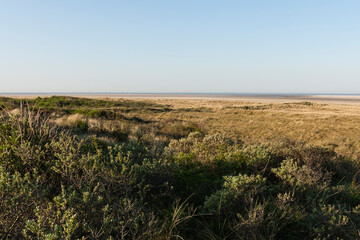 Landschap op Schiermonnikoog, Landscape at Schiermonnikoog