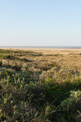 Fototapeta na wymiar Landschap op Schiermonnikoog, Landscape at Schiermonnikoog