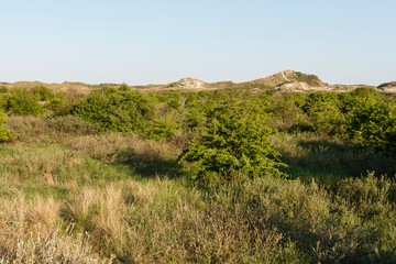 Landschap op Schiermonnikoog, Landscape at Schiermonnikoog