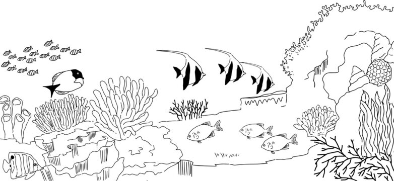 949 BEST 海の中 IMAGES, STOCK PHOTOS u0026 VECTORS Adobe Stock