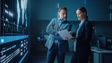 Project Manager and Computer Science Engineer Talk while Using Big Screen Display and a Laptop,...