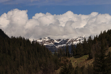Alpenidylle; Bergwald, Gipfel und Wolkenberge im Reichenbachtal (Berner Oberland)