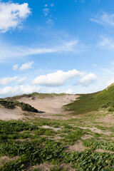 Landscape at the Noordduinen