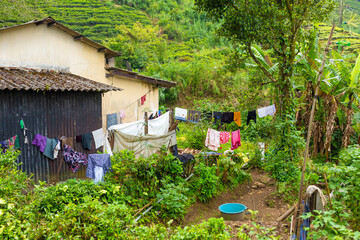 Poor dilapidated houses of the inhabitants of the island of Sri Lanka. Jungle lodging