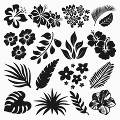 Hibiscus And Tropical Leaves Vector Collection - obrazy, fototapety, plakaty