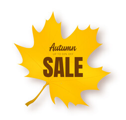 Autumn Sale Banner with Autumn leaves. Vector background.