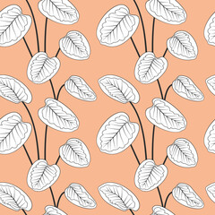 Tropical white calathea leaves black outline drawing seamless pattern. Pink background. Jungle foliage line art texture. Stock vector illustration.
