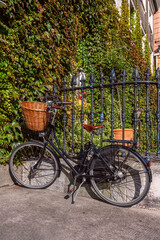 Black bicycle with wicker basket on the handlebar leaning on a metal fence and building covered with vegetation in the background