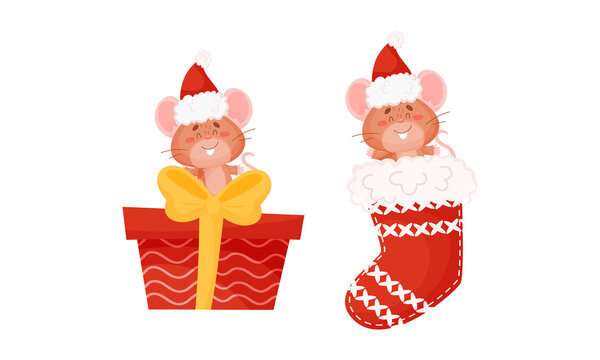 Cute Mouse with Protruding Ears in Red Hat Sitting on Gift Box and in Stocking Vector Set