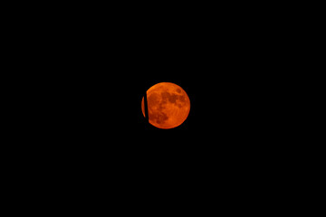 orange moon close up in the dark night sky