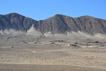 Fototapeta na wymiar Parc National Pan de Azucar Atacama Chili Amérique Latine