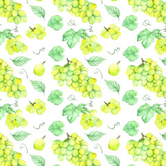 Watercolor white grapes.Watercolor hand drawn pattern isolated on white background.