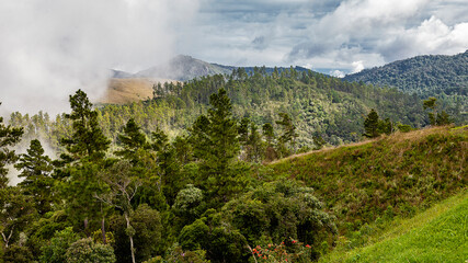 PICO DO ITAPEVA - CAMPOS DO JORDÃO - SÃO PAULO - BRASIL