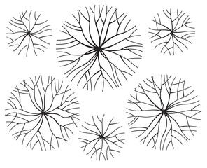 Various round sketchy images of trees. A set of blanks for planning landscape design. Black and white vector graphics