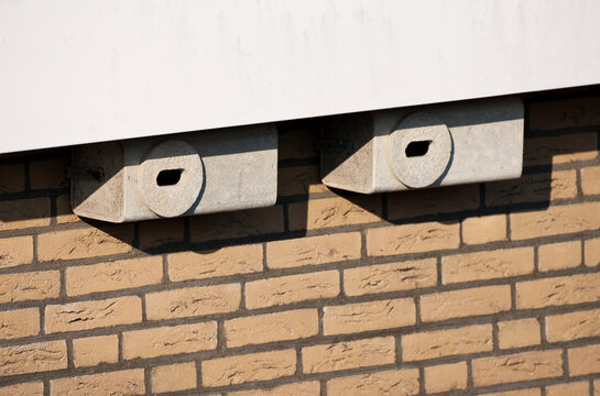 Nestkast Gierzwaluw; Nestbox Common Swift