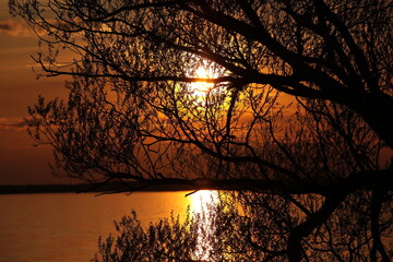 Sunset With Golden Sun Disc In Red Sky And Sun Trail In Lake Water. Night Landscape View Through Tree Branches On The Shore. Background Image