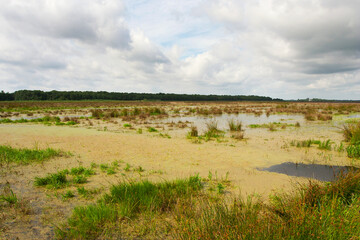 Fototapeta premium Kropswolderbuitenpolder, Groningen (Nederland / Netherlands)