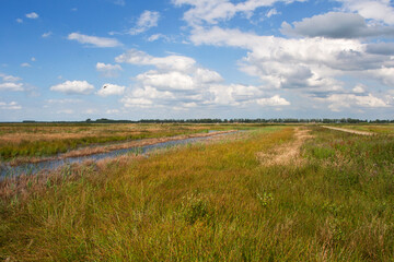Fototapeta premium Veenkoloniën, Steenbergen, Drenthe (Nederland / Netherlands)