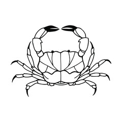 Furrowed crab. Vector stock illustration eps10. Isolate on white background, outline, hand drawing.
