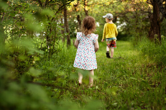 the little girl follows her brother along the forest path. a little girl runs away on the green grass. summer photo of a child in the forest. children play in the forest.