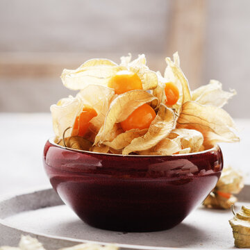 Flowers and fruit of Fisalis on grey light background.