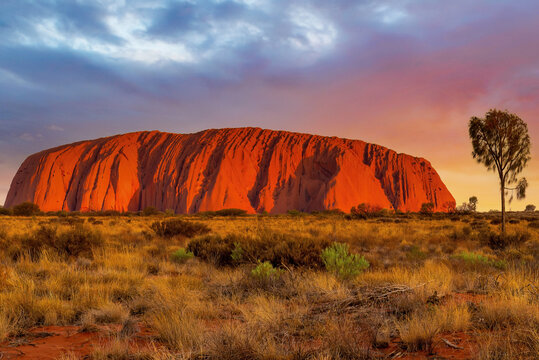 Uluru, Australia - Changing colour at sunset of Uluru, the famous gigantic monolith rock in the Australian desert. Image taken from the approved public viewing and photography area.