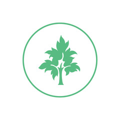 plant isolated on white. Logo