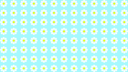 Common daisy on pastel color background, flowers pattern background, bellis perennis on background 