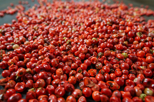 Pink peppercorn is scattered on a wooden table, selective focus