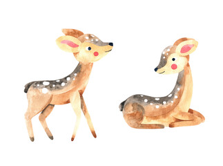 Watercolor cute little deer illustration set. Forest wildlife animal fawn on white background