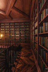 A 3d rendered interior old gothic fantasy library background.  - obrazy, fototapety, plakaty