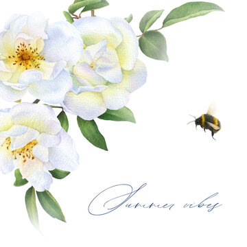 Premade card with white wild roses bouquet, bumblebee and lettering 'Summer vibes' hand drawn in watercolor isolated on a white background.
