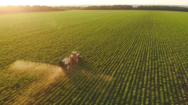 Aerial view of farming tractor spraying on field with sprayer, herbicides and pesticides at sunset. Farm machinery spraying insecticide to the green field, agricultural natural seasonal spring works.
