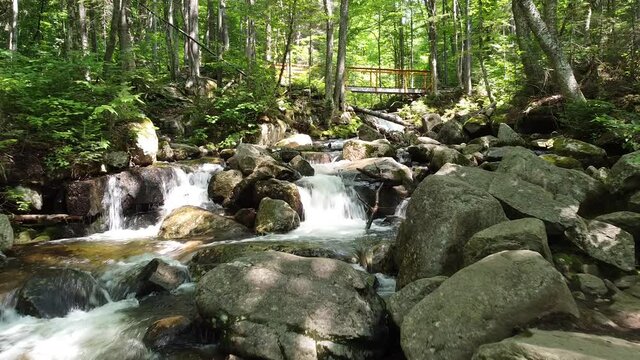 paysage d'une chute d'eau dans la for&ecirc;t