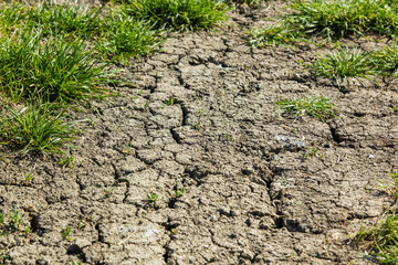 Cracks on the ground during a drought in summer