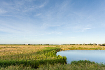 Fototapeta na wymiar Landscape at Wormer- en Wisperveld