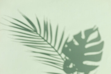 Blurred silhouette of tropical palm and monstera on a green background. Sunny Summer Minimal Concept