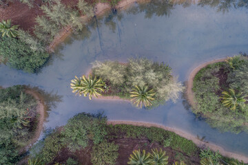 Coastline with rocks ocean birds eye view top down no people copy space natural seascape