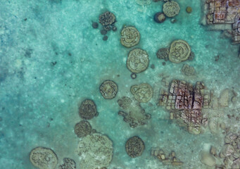 Coral Reef from a drone aerial birds eye top down view rocks and water blue turquoise green natural shape and form no people and copy space corals and sea life