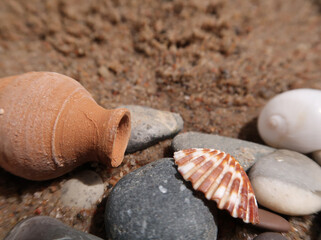 shell on the sand